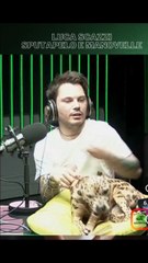 la zanzara con luca scazzi