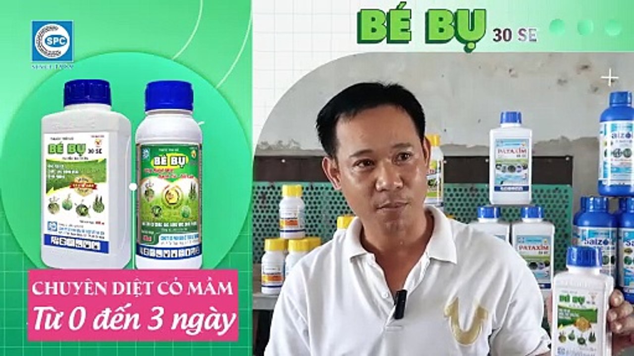 Đại lý Đoàn Thế Hùng, Kiên Giang chia sẻ cách sử dụng Bé Bụ 30SE trừ cỏ đầu vụ