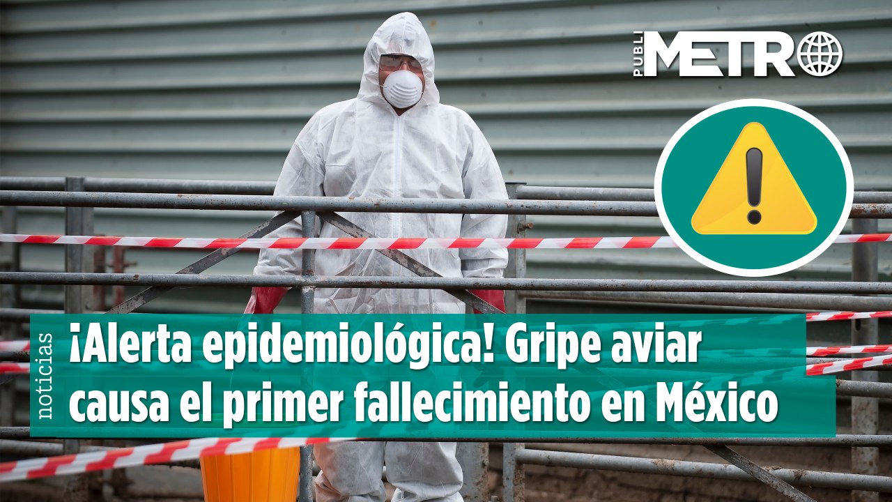 ¡Alerta sanitaria! Gripe aviar H5N1 causa la primera muerte en México