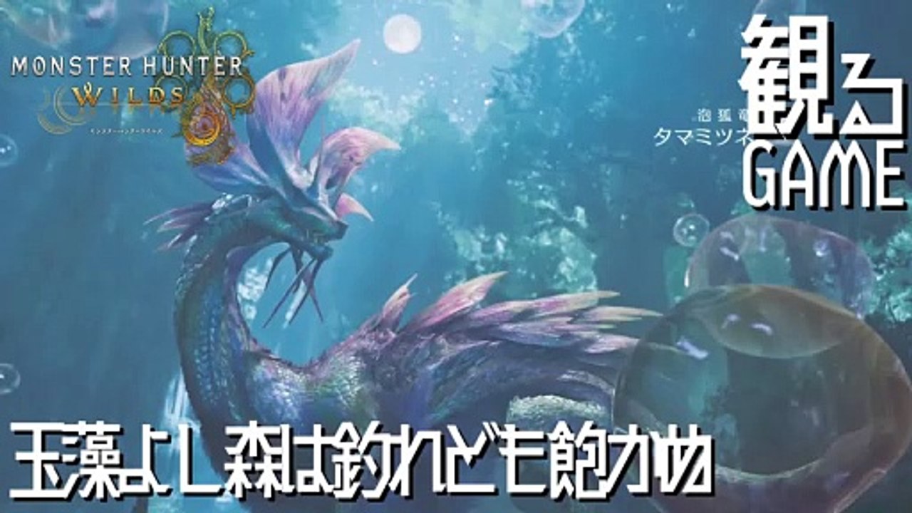 モンスターハンターワイルズ/MONSTER HUNTER WILDS 玉藻よし森は釣れども飽かぬ 日本語音声/日本語字幕