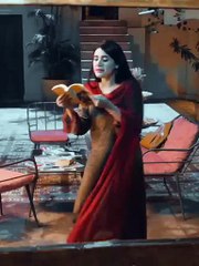 Mann_Mast_Malang___Full_OST___Khalid_Khan___Saba_Butt___Danish_Taimoor,_Sahar_Hashmi_#shortsfeed(360p)(4)