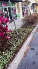 "File is too small" according to onlyfans.