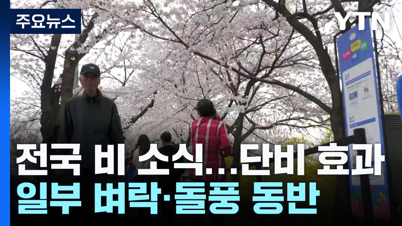 [날씨] 벚꽃 활짝 핀 윤중로...전국 흐리고 점차 단비 / YTN