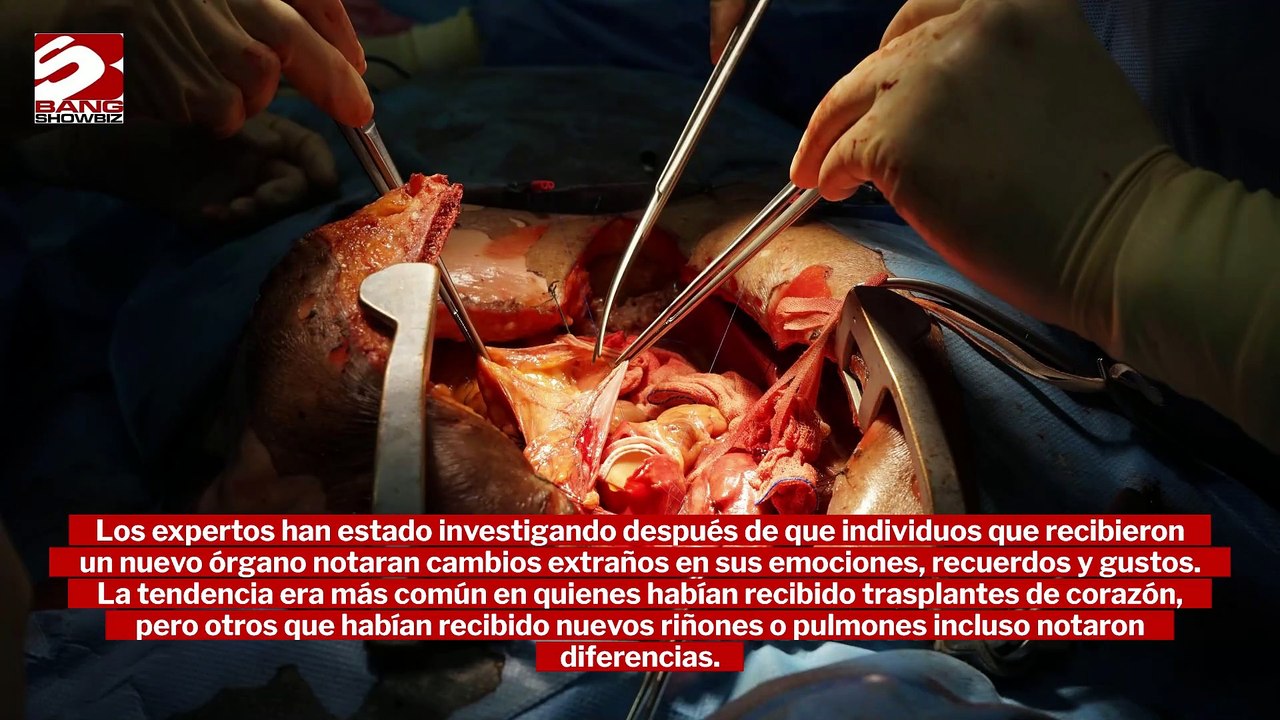 Las personas con trasplantes de órganos podrían heredar rasgos de los donantes