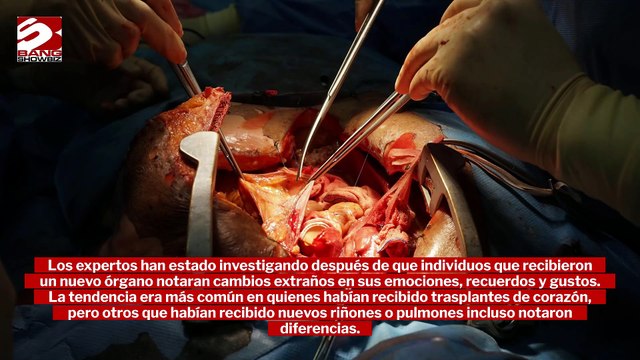 Las personas con trasplantes de órganos podrían heredar rasgos de los donantes