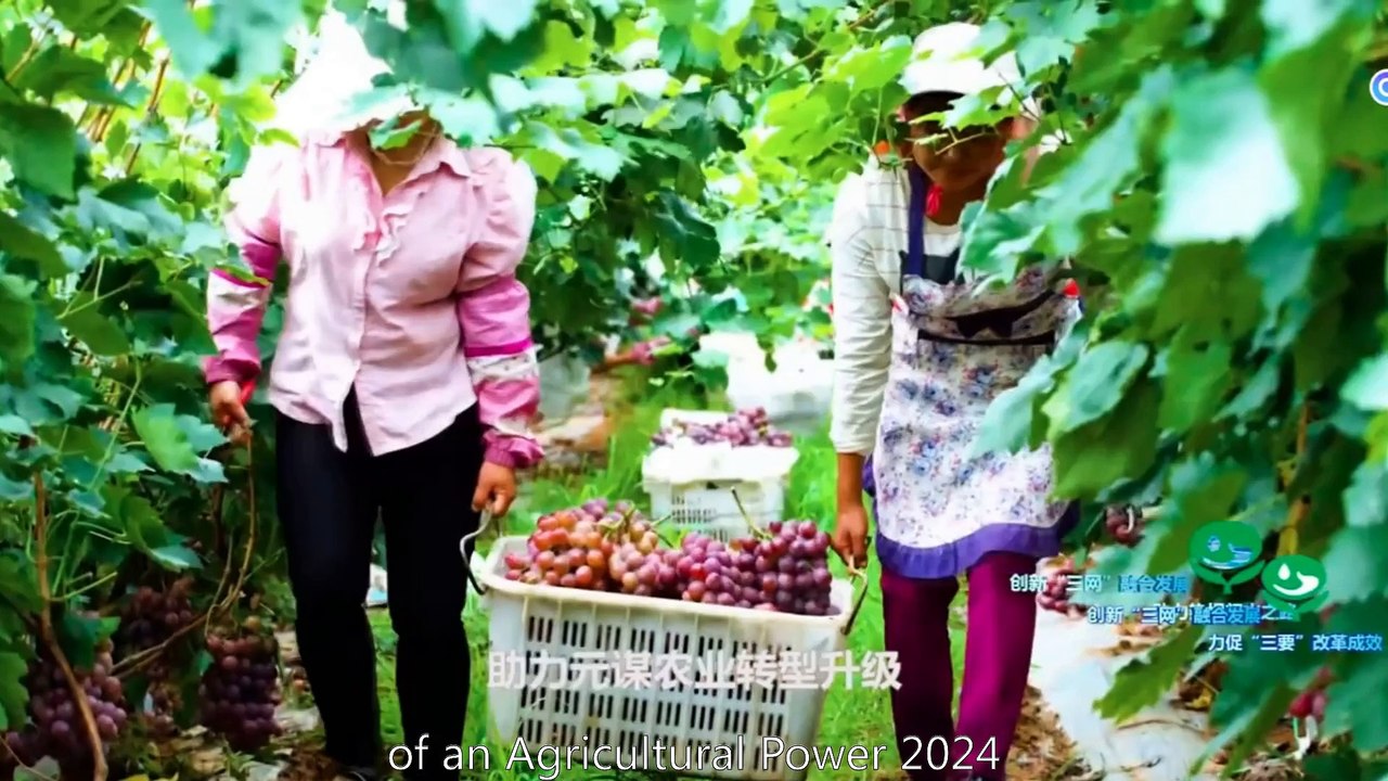 Strong agriculture leads to strong country | Agricultural power has become the next direction of development after manufacturing power, and Dayu's water-saving efforts should bravely stand at the forefront