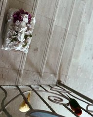 🐾 Welcome to the #PetsOfInstagram haven! 🐶✨ Join us as we showcase the cu