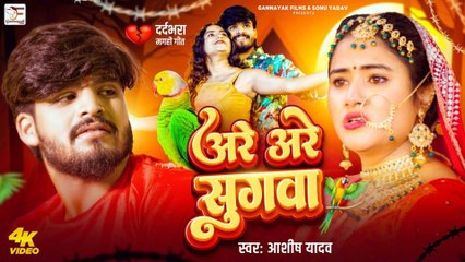 #Video - अरे अरे सुगवा - #Ashish Yadav का एक और रुला देने वाला गाना - #Maghi Sad Song 2025