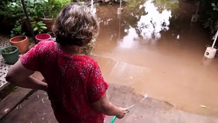 26th person dies from soil-borne disease in Queensland this year