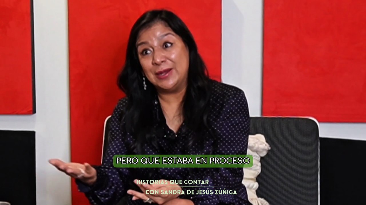 Su primera año como jueza  Sandra de Jesús Zúñiga   #shorts #derechos #reels #politics #dailymotion