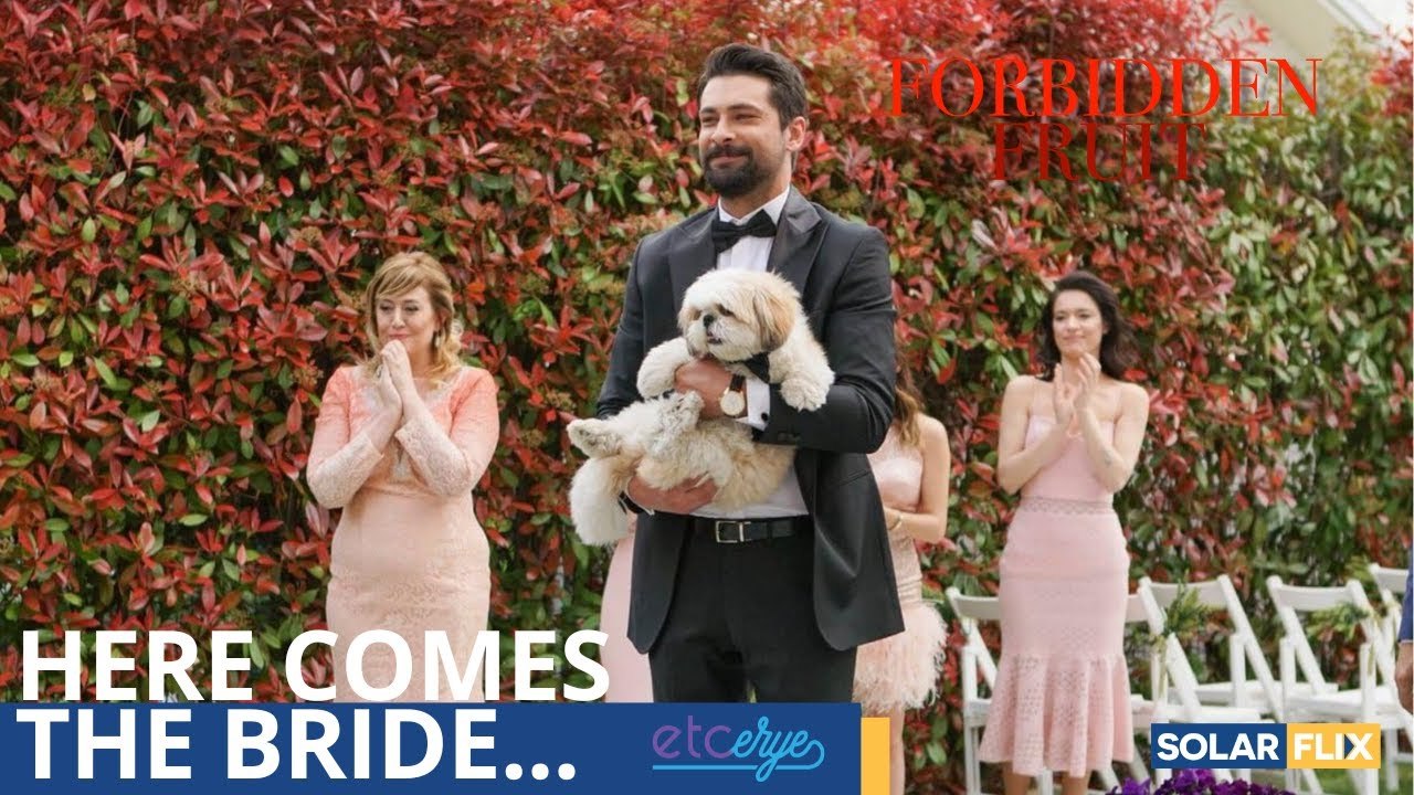 Kasal ni Zeynep at Alihan! ¦ Recap Ep 121 ¦ Forbidden Fruit Pinoy
