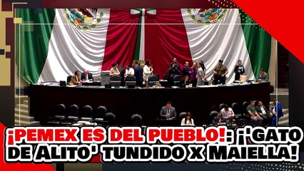 ¡PEMEX REGRESÓ AL PUEBLO! ¡NEFASTO “GATO DE ALITO” es TUNDIDO por La DIPUTADA MAIELLA GÓMEZ!