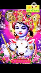 देखिए कान्हा जी गौ माता को दुलार करते हुए और गौ माता भी प्यार से कान्हा जी को स्नेह करती हुई , ,krishna vedios