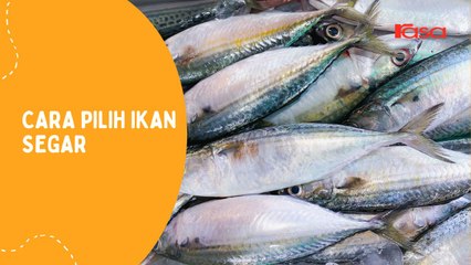 Cara Pilih Ikan Segar