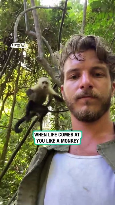 Monkey jumps on man&