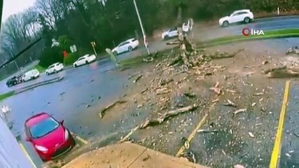 Dev ağaç böyle devrildi! Sürücü böyle kurtuldu!