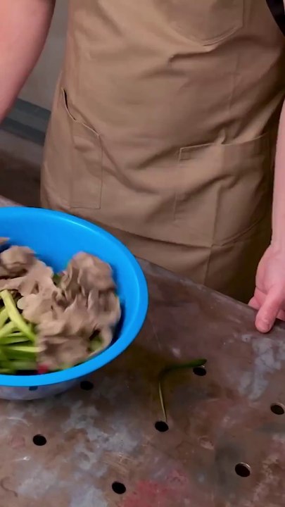 Plant but in the Eco-Friendly Way! 🌱🥒