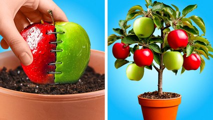 🌱 15 GARDENING HACKS YOU'LL WISH YOU KNEW SOONER! 🌿😲