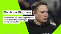 Elon Musk flippt aus: 
