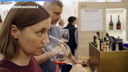 Cantine Cavicchioli e Francesco Bellei: intervista a Carlo Cavicchioli