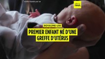 Insolite : au Royaume-Uni, un premier enfant né d'une greffe d'utérus
