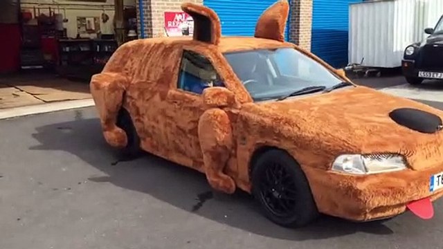 'Dog car' turns heads when it goes 'walkies' in West Sussex