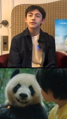 Comment les Animaux Ont Transformé Sa Vie pour le Mieux 🐾