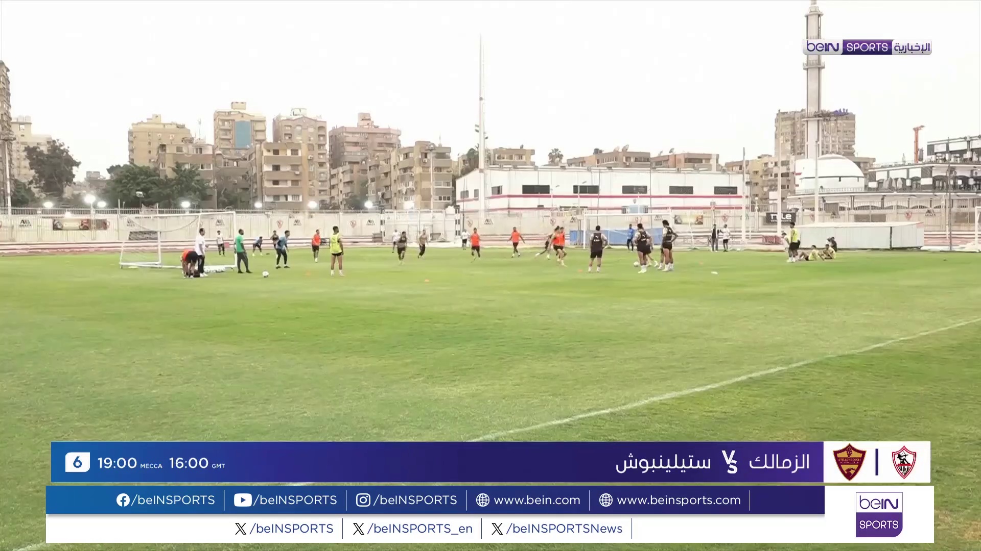 AR 08 ZAMALEK STELLEN VT