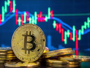 Nexal Incremento (2025) Review: Price and Where to Buy