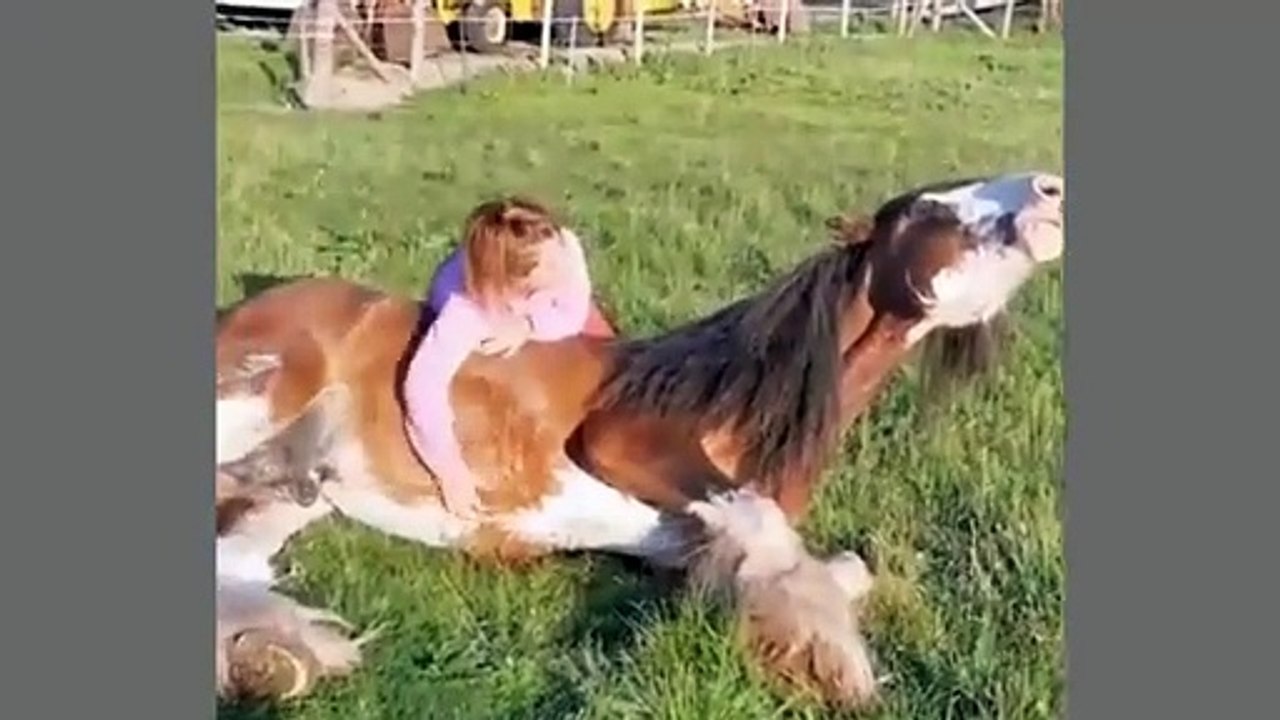 Jungle World: Hilarious Animal Escapades Part 23 – Laugh Till You Drop! #FunnyAnimals #AnimalComedy #JungleWorld #PetLaughs #FunnyCats #FunnyDogs #AnimalAntics #ViralVideos #LaughingAnimals