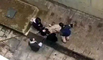 Üniversite öğrencisi köpeklerden kaçarken 4 metre yükseklikten beton zemine düştü