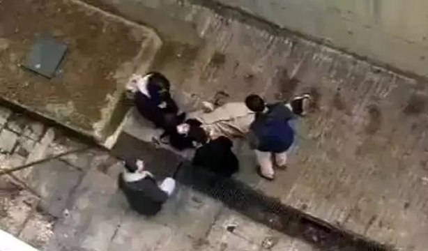 Üniversite öğrencisi köpeklerden kaçarken 4 metre yükseklikten beton zemine düştü