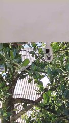 Dual Lens Bulb IP Night Vision Camera V380 WIFI IP camera 04