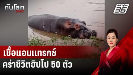 เชื้อแอนแทรกซ์คร่าชีวิตฮิปโป 50 ตัวในอุทยานดีอาร์คองโก | ทันโลก DAILY | 9 เม.ย. 68