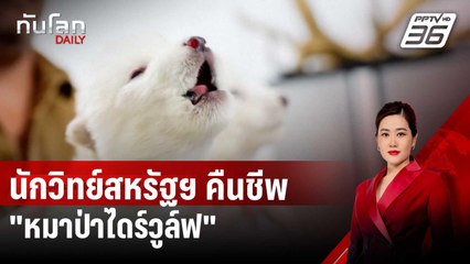 นักวิทย์สหรัฐฯ คืนชีพ "หมาป่าไดร์วูล์ฟ" สำเร็จ | ทันโลก DAILY | 9 เม.ย. 68
