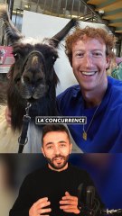 META PUBLIE LLAMA 4 !! 🦙 #meta #llama4 #actusia #llama #metaai #deepseek