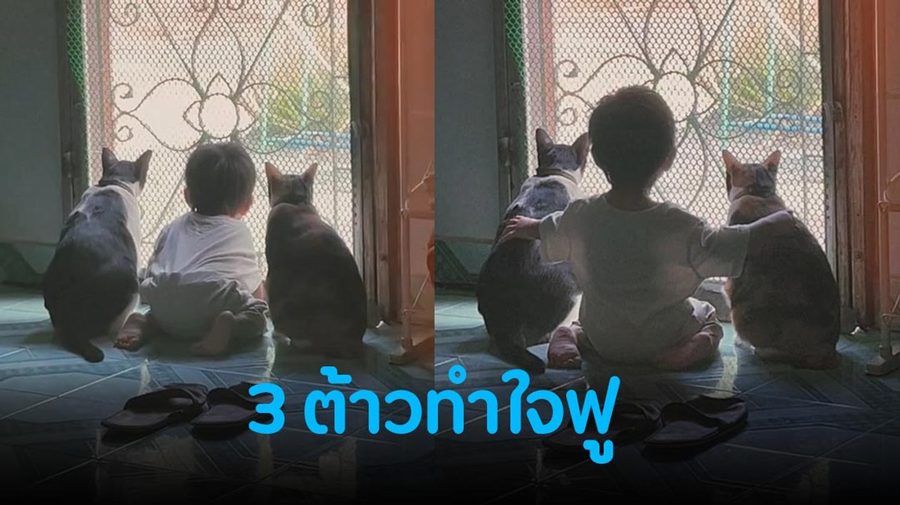 แก๊งนี้น่ารัก เห็นแล้วทำใจฟูเลย