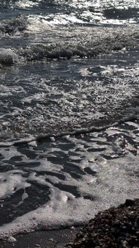 Шум моря 2025. Black Sea