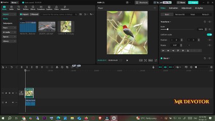 How to reverse audio in Capcut (PC)