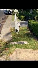 There is always a way to make yourself happy