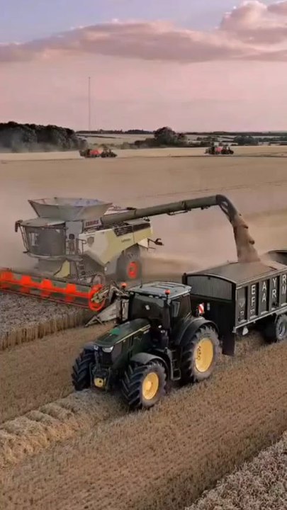🌾🌾 wheat harvesting big farming