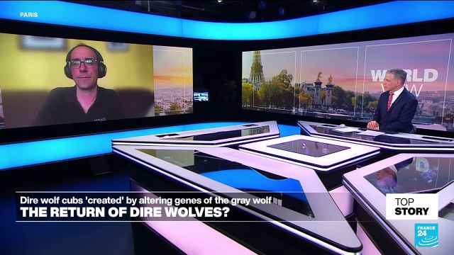 Genetic engineering: Beyond treating disease, where do the 'boundaries' lie? '