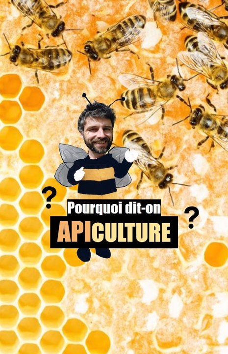 API culture ?