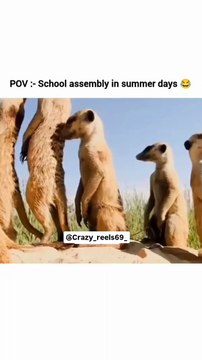 POV:- School Assembly In Summer Days 😂
