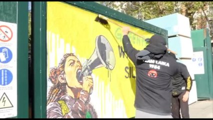 "Greenpeace non verrà zittita", opera di Laika davanti Ambasciata Usa