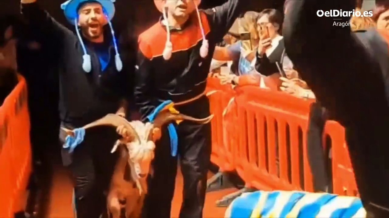 PACMA denuncia ante el Seprona el uso de cabras disfrazadas en una fiesta popular en Castejón de Monegros | Fuente: Comisión de Fiestas