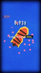 Record high migrant deaths in 2024