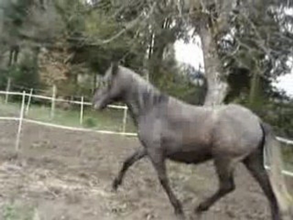 Vidéo sueno rond de longe 05 08