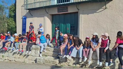 Pedrea Infantil: Causas y Cómo Actuar