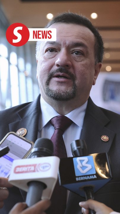 Equity, financial markets capable of navigating heightened tariff-led volatility